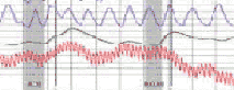 Burbank polygraph test